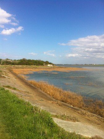 Riverside Country Park
